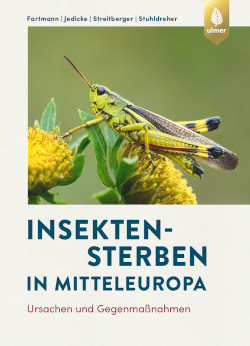 Buchcover Insektensterben in Mitteleuropa