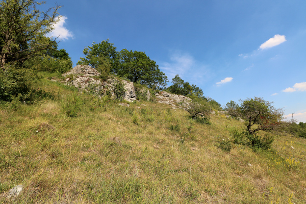 Kregenberg