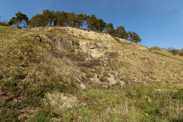 Kruckenberg