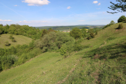 Flohrberg