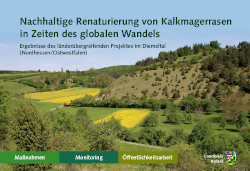Broschuere