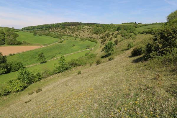 Sommerberg